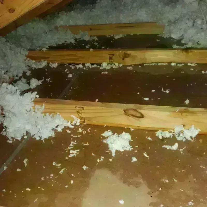 Attic Water Damage in Kempner, TX